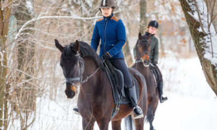 7 Winter Horse Riding Exercises to Keep Motivated