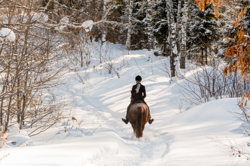 Winter Riding Activities 7 Winter Horse Riding Exercises to Keep Motivated - Talking To Horses