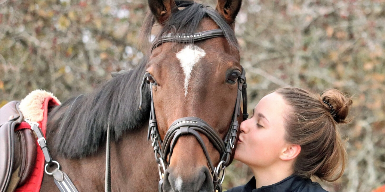 7 Things Owning A Horse Taught Me – Guest Blog