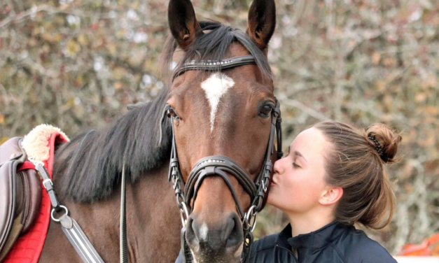 7 Things Owning A Horse Taught Me – Guest Blog