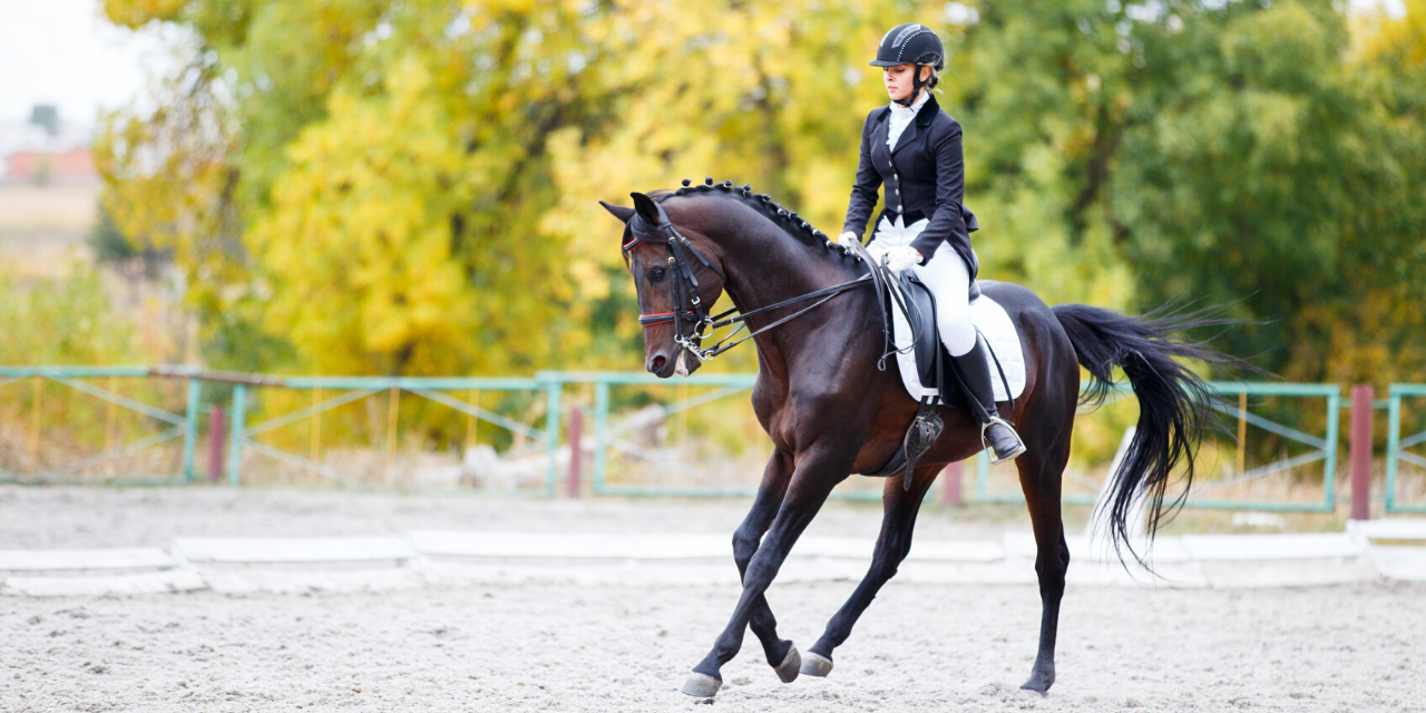 11 Horse Riding Position Fixes To CHANGE Your Ride