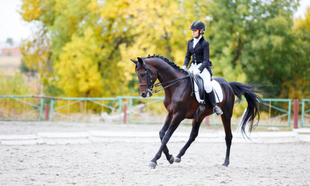 11 Horse Riding Position Fixes To CHANGE Your Ride