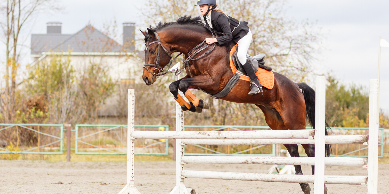 5 Easy Ways To Get Your Horse Super Fit