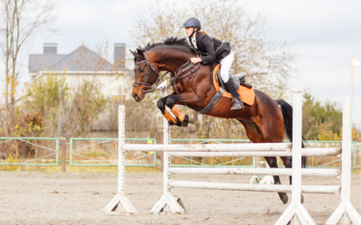 5 Easy Ways To Get Your Horse Super Fit