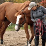 4 Ways You Can Be GREAT At Horsemanship