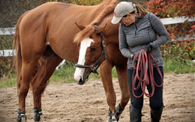 4 Ways You Can Be GREAT At Horsemanship