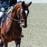 How To Stabilize Your Lower Leg While Riding